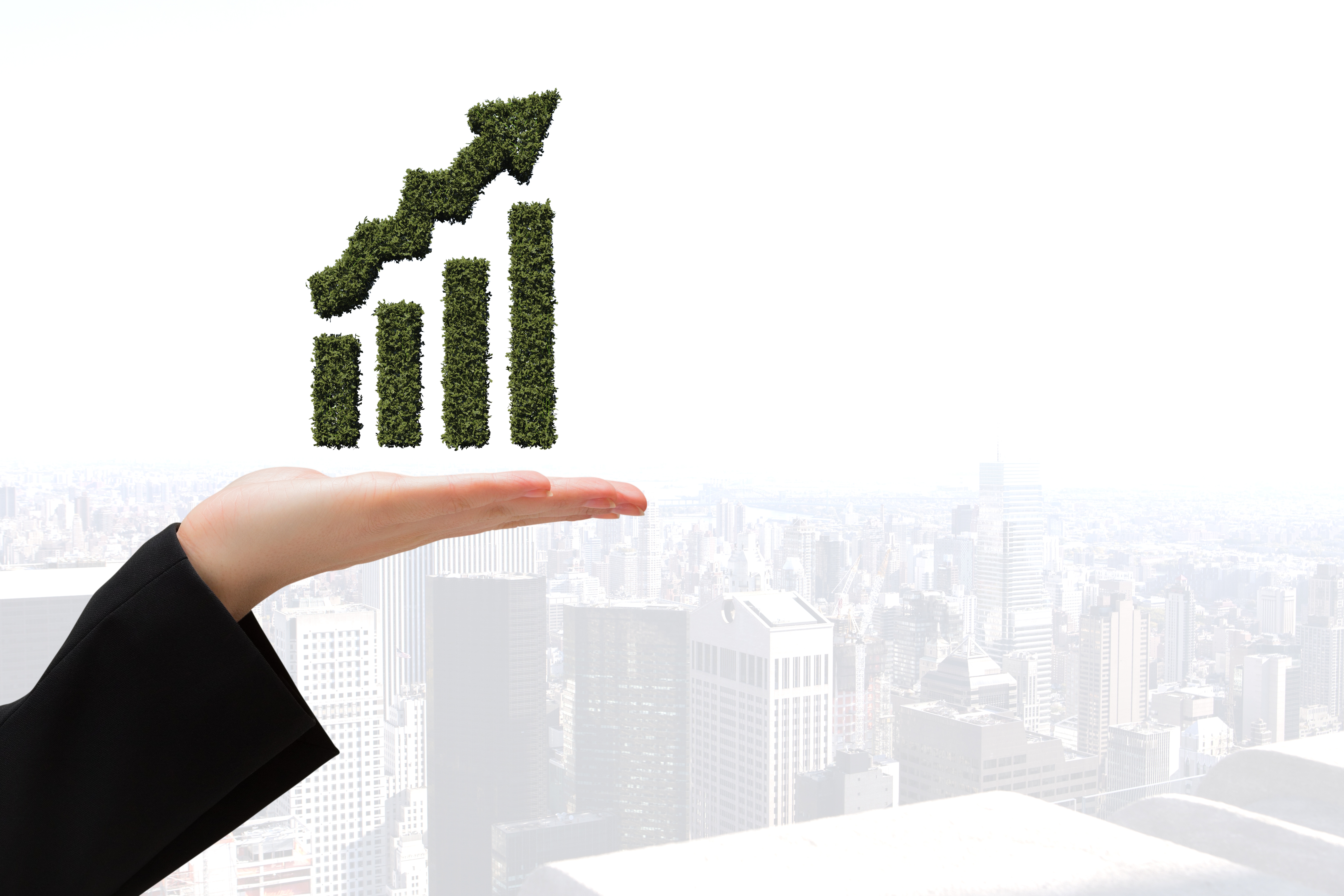 Investment Consulting Services